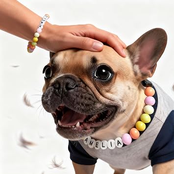 Personalized Big Beaded Dog Collar, Custom Dog Necklace Collar with Name, Colored Beaded Dog Necklace Collar, Customizable Gift Friendship Bracelet Dog Collar for Dog, Cat, Pet Lover Multicolor