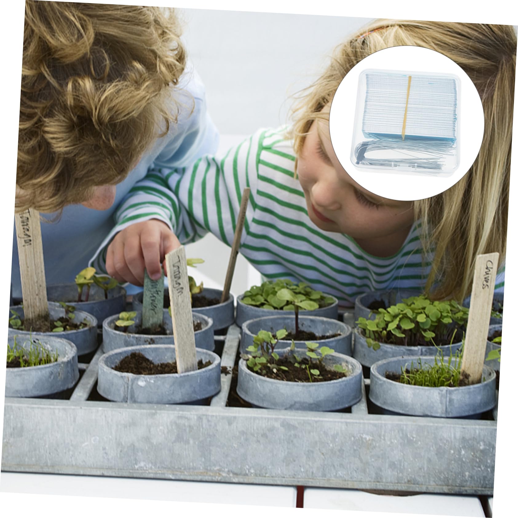 Toyvian Pflanzschilder Aus Hochwertigem Material Gartenstecker Für Pflanzenetiketten Praktische Namensschilder Für Pflanzen Pflanzensteckstecker Für Gartenpflanzenmarkierungen