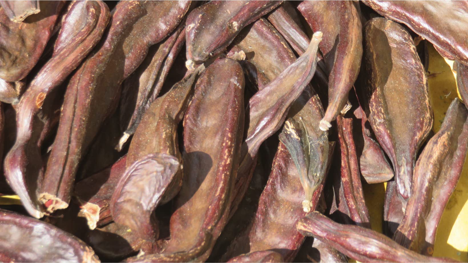 Carrube Azienda Miceli Di Propria Produzione (Trasporto Gratuito In Italia) Confezione Da 2.5 Kilogram