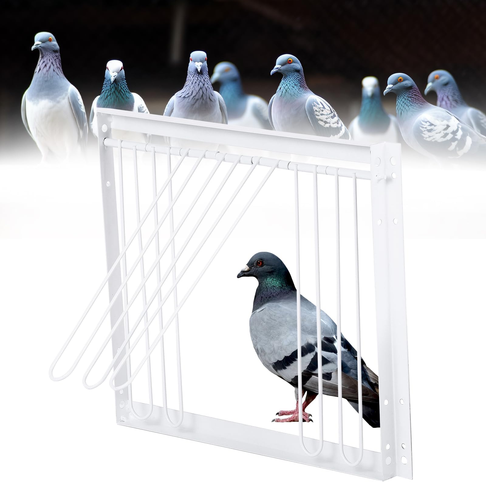 Pigeon Cage Door Entrance Window for Racing Pigeon House Enter Door Iron Door Pigeons Breeding Accessories 33 x 26 cm