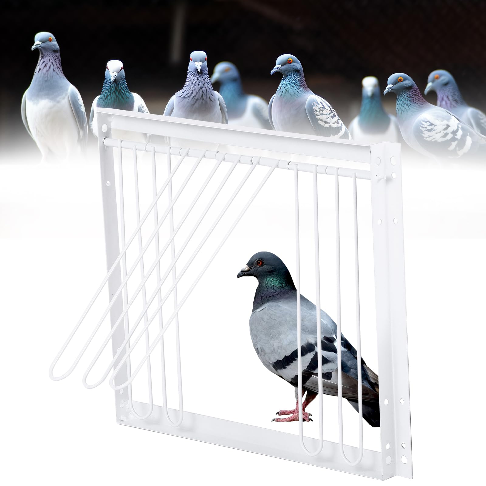 Pigeon Cage Door Entrance Window for Racing Pigeon House Enter Door Iron Door Pigeons Breeding Accessories 33 x 26 cm
