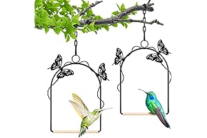 Hummingbird Swing 2 Pack - Durable Bird Swing Toy for Outdoors