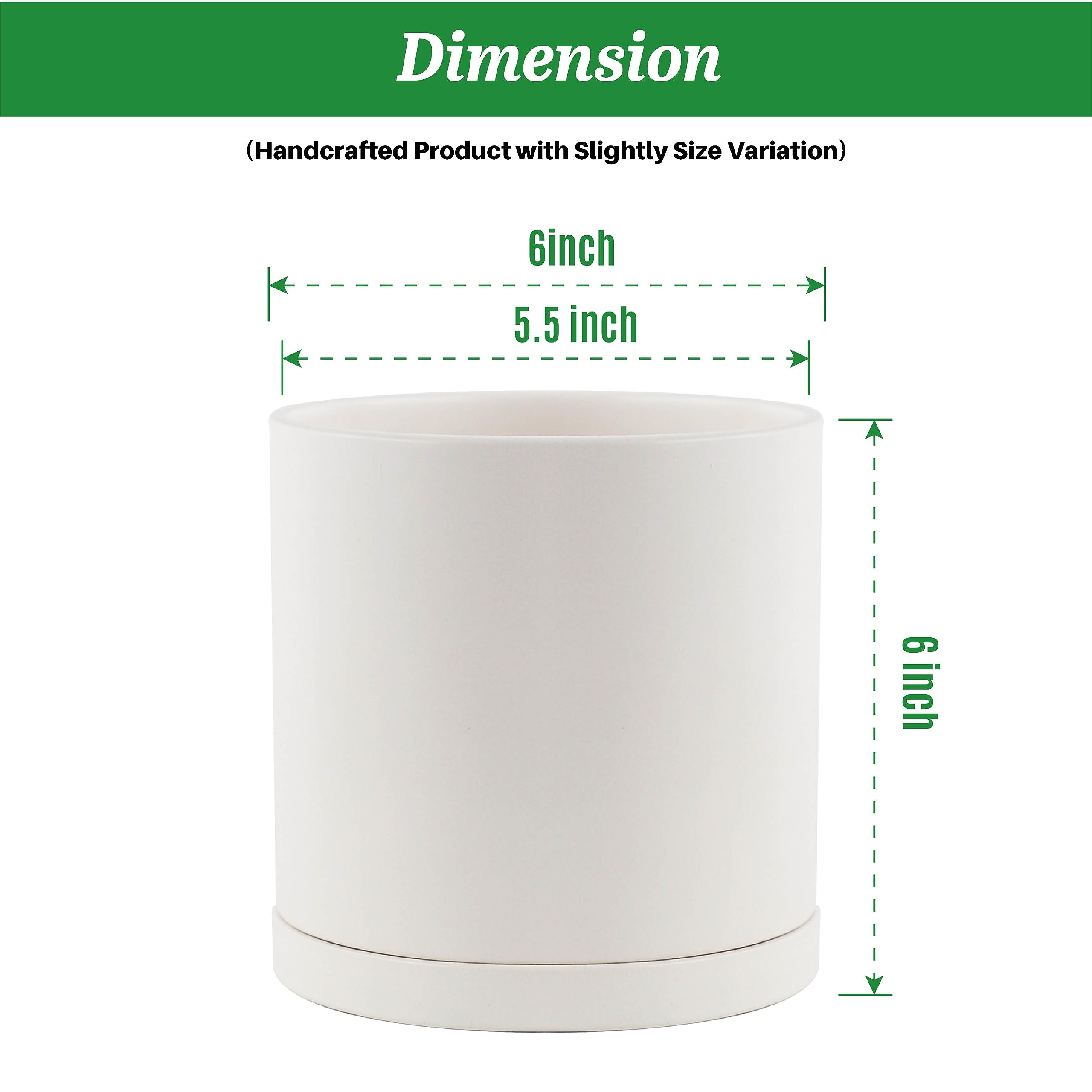 Grow Margo 6 Inch Plant Pot White Ceramic Planter Pots for Indoor Plants with Drainage Hole and Saucer - Modern Round Matte Houseplant Pot