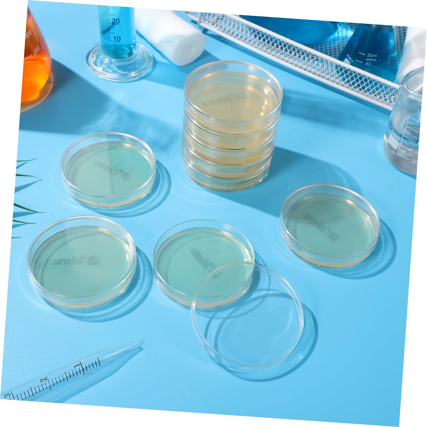 Piastre Petri con Agar Pronte All'uso, 10 Pezzi, Spessore Professionale e Sicuro, per Lezione di Scienze e Stem, per Studenti