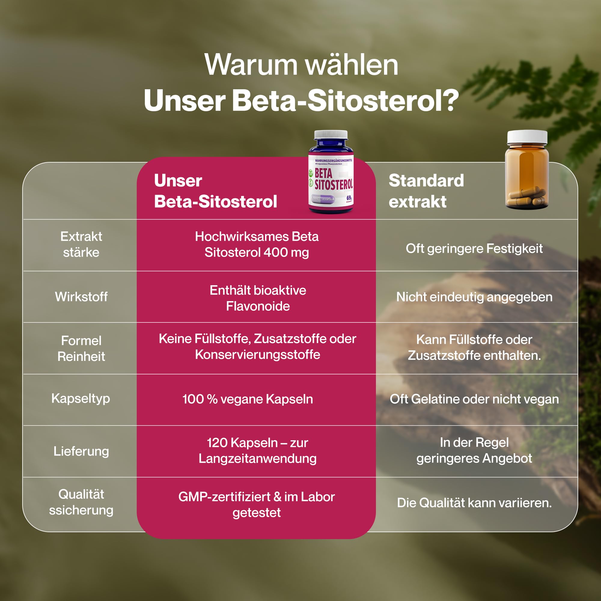 Hepatica Beta-Sitosterol 400 mg täglich | aus 800 mg Pflanzensterolen | 120 vegane Kapseln | GMP & Laborgeprüft