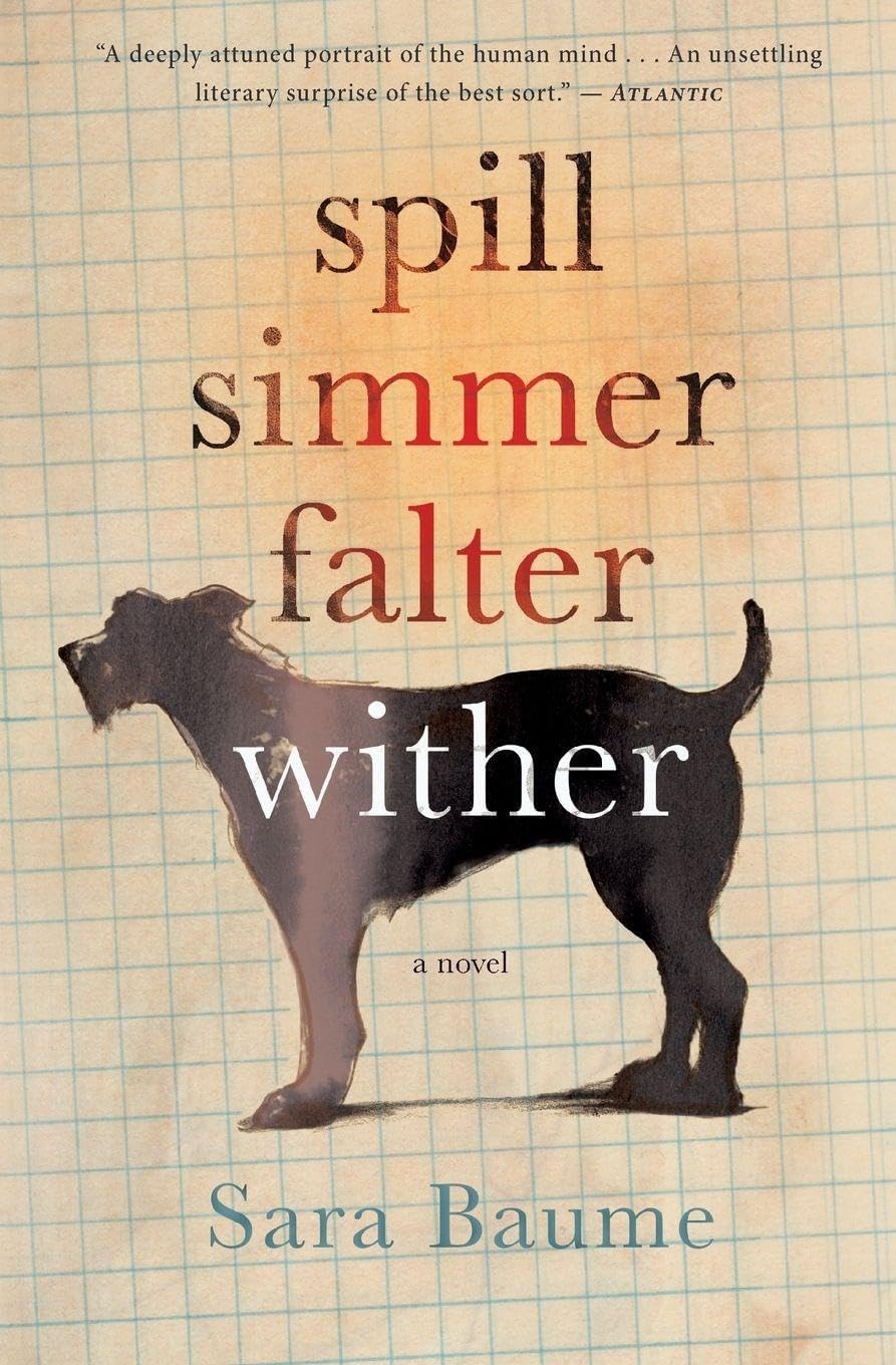 Spill Simmer Falter Wither: A Rooney Prize-Winning Irish Literary Novel – A Poignant Tale of an Outcast and His Dog
