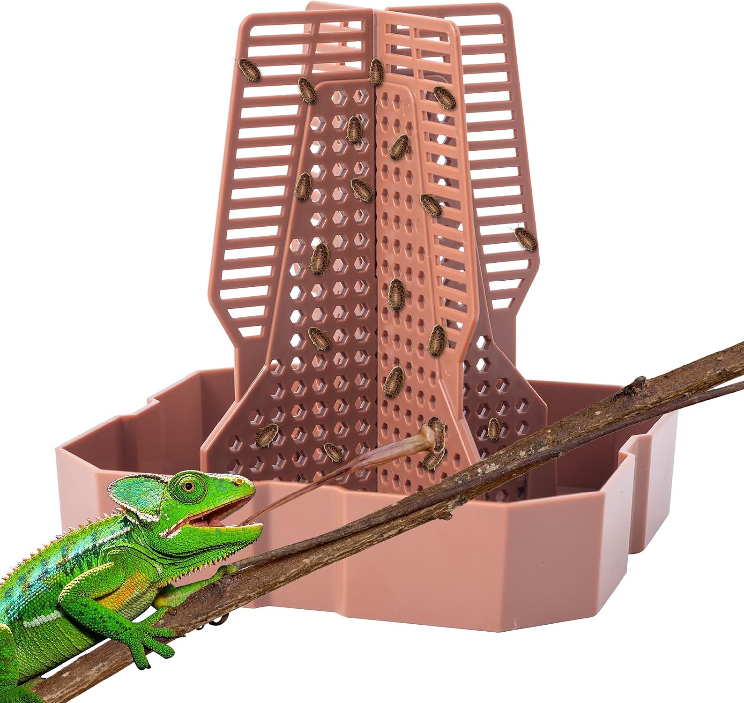 SLSON Reptile Feeder Bowl with Climbing Ladder for Chameleons, Bearded Dragons - Hunting Training Terrarium Dish for Lizards, Frogs, Geckos, Small Brown