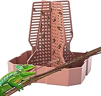 SLSON Reptile Feeder Bowl with Climbing Ladder for Chameleons, Bearded Dragons - Hunting Training Terrarium Dish for Lizards, Frogs, Geckos, Small Brown