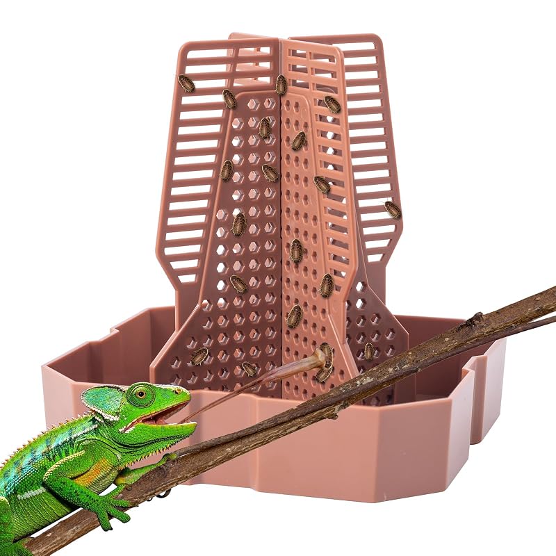 Tigela alimentadora para répteis com escada de escalada SLSON, Marrom, Grande