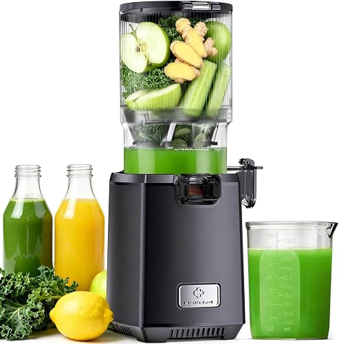Extracteur De Jus de Fruits et Légumes Entiers LINKChef