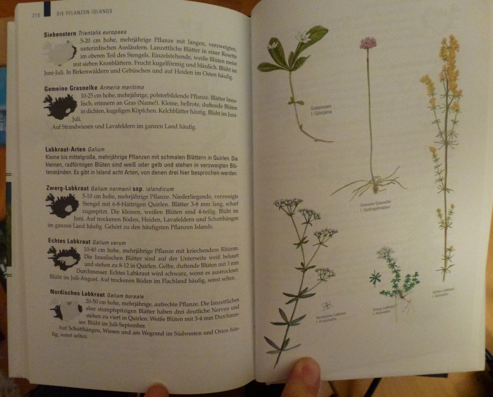 Die Tiere und Pflanzen Islands