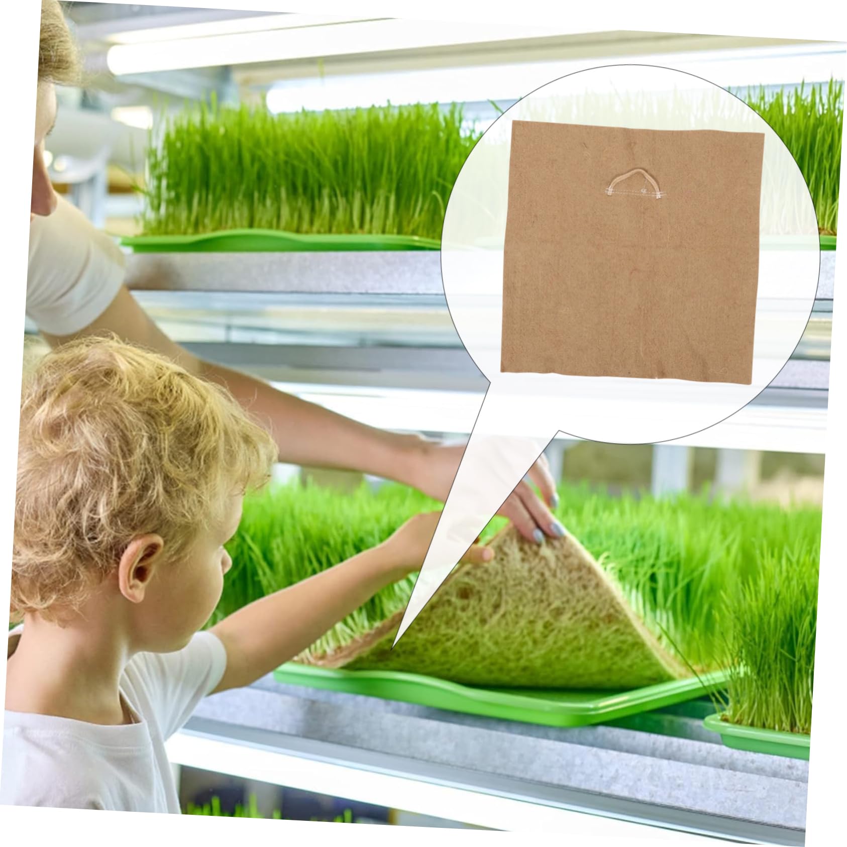 TOYANDONA 4piezas Bandejas De De Microvegetales Papel De Yute Almohadillas De Yute para Germinación
