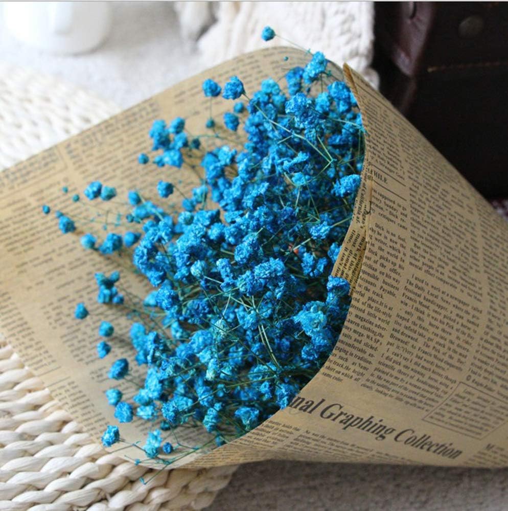 WDOIT 1pcs Natural Dried Flower Gypsophila Bouquet, For DIY Home Garden Home Wedding Party Decoration