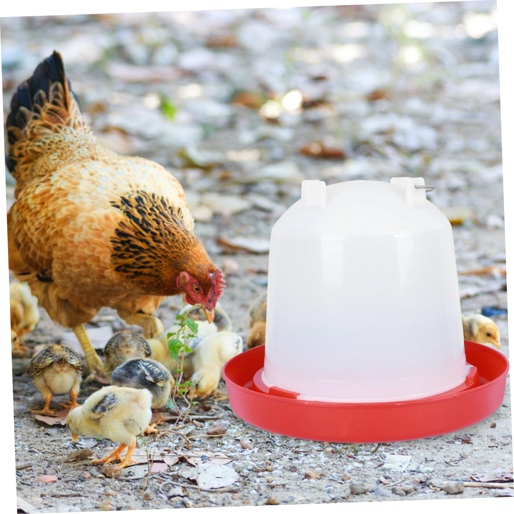 ORFOFE Abbeveratoio Automatico per Pollame e Pulcini, Secchio Acqua da 12 Litri in Plastica Spessa per Allevamento, Facile da Pulire e Smontare, Adatto a Fattorie e Galline Stili multipli