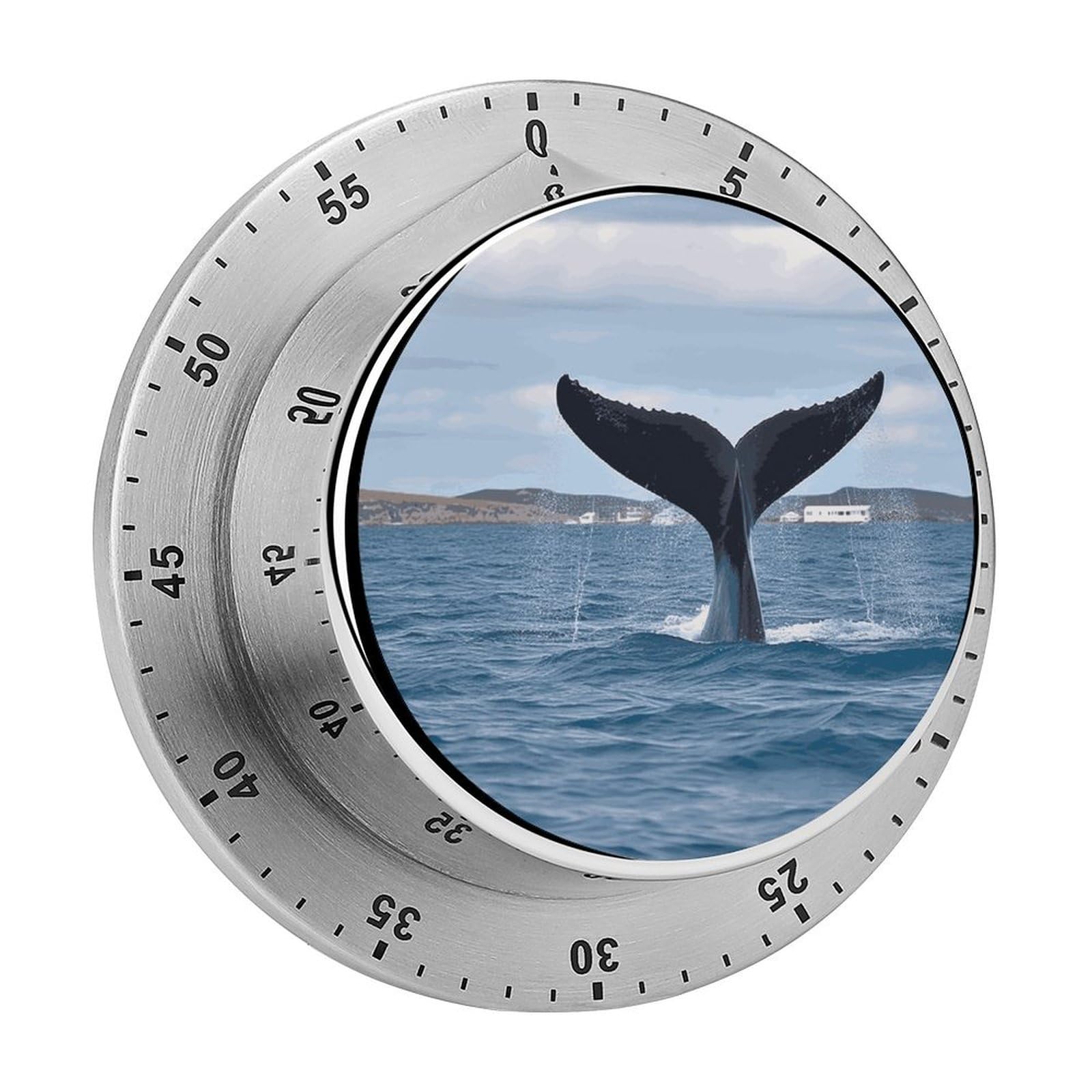 Whale Tail Timer Loud Mechanical Timer Stainless Steel 60-Minute Kitchen Timers Waterproof Chef Cooking Timers Sport Countdown Clock Portable Countdown Alarm Adult