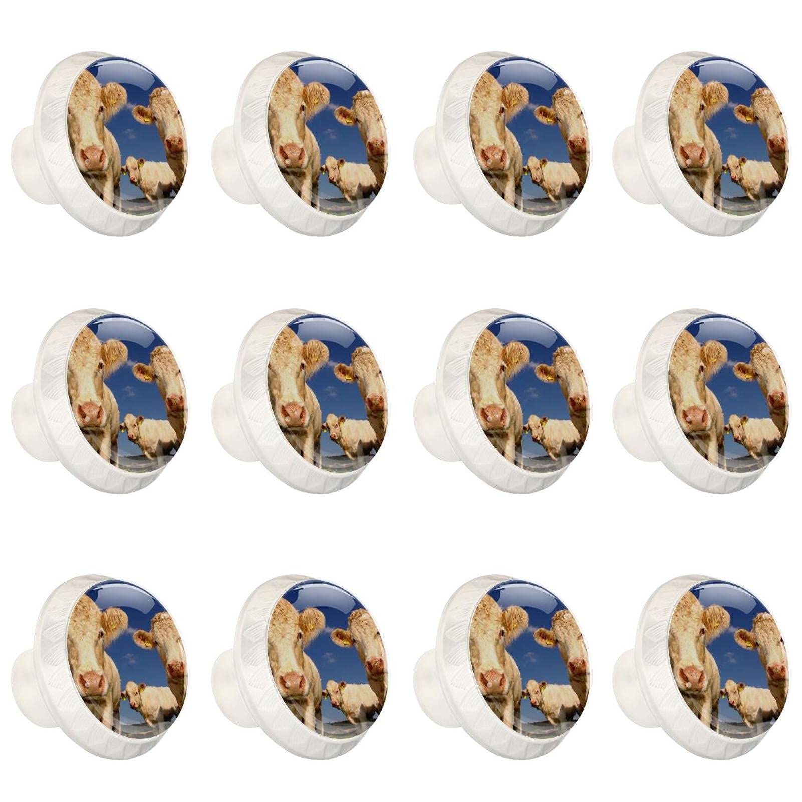 Boutons d'armoires de cuisine décoratifs 12 poignées rondes à motif animal pour rénover un placard