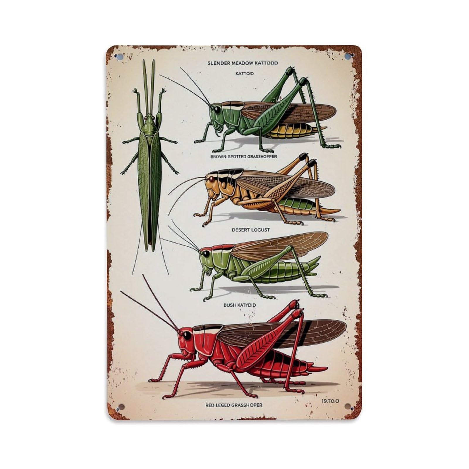 Jdfenggu Vintage Insect Illustration Poster Print Retro Metal Tin Sign, Metal Poster For Bar, Home, Man Cave, Kitchen, Laundry Room Art Decor 8X12 Inch