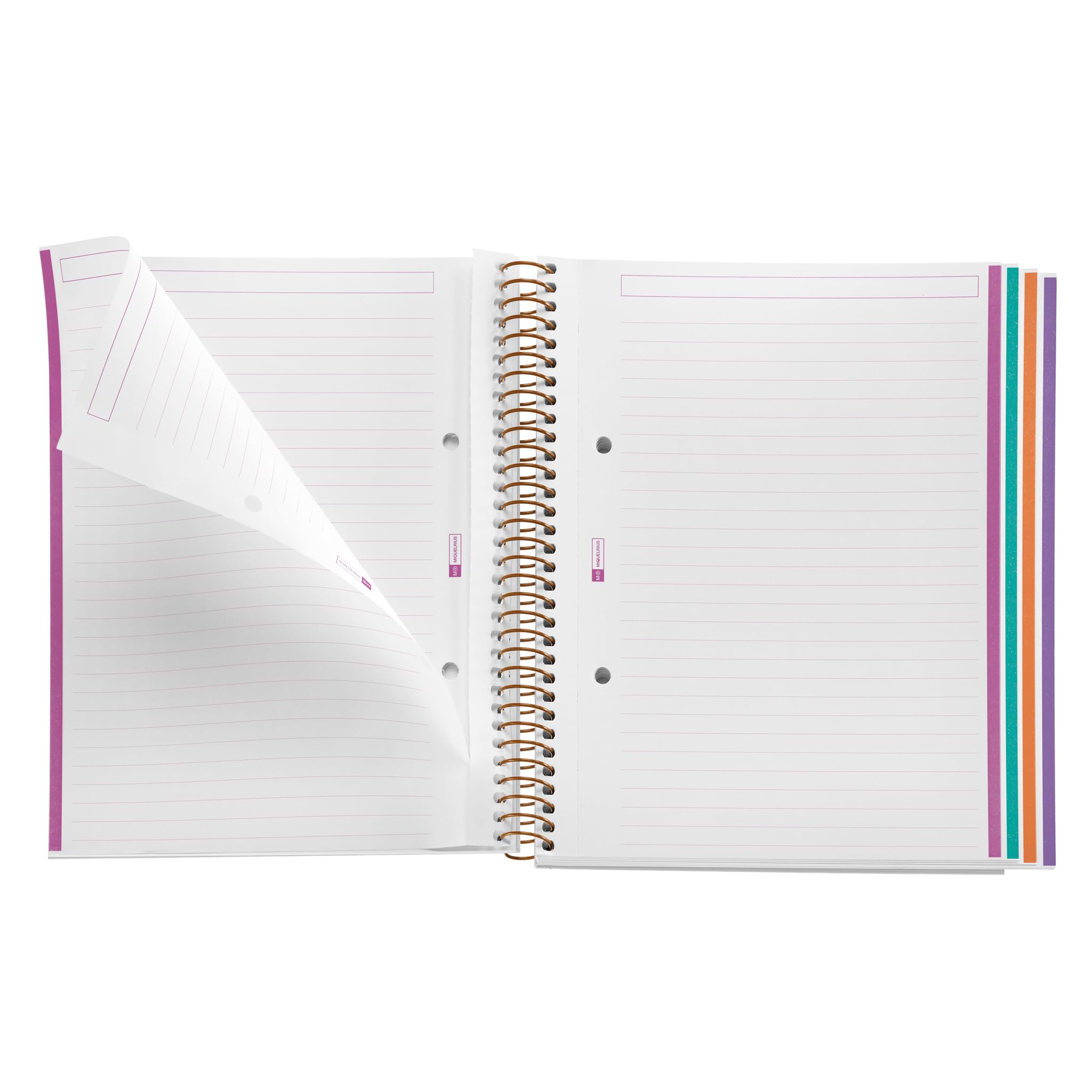 Miquelrius, A5 Notebook, 4 Colour Stripes, Horizontal Ruled 7 mm, 120 Sheets of 70 g/m², Spiral, Ruled Notebook - Image 3