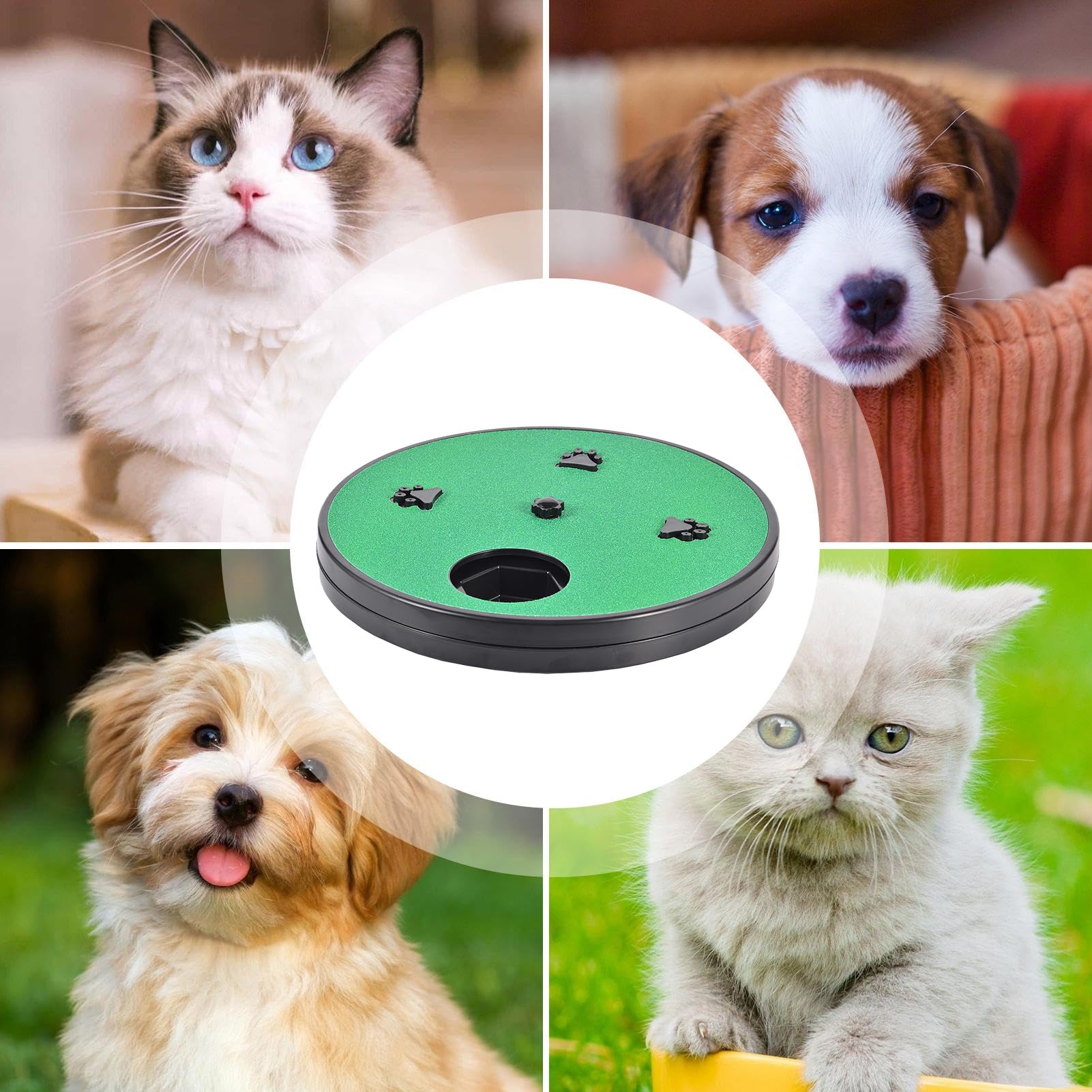 Lima Unghie per Cani - Graffiatore con Scatola Snack | Tavola Per | Unghie Per Cani | Per Addestramento Interno Pavimento Divano Arredamento Foraggiamento e Fiuto