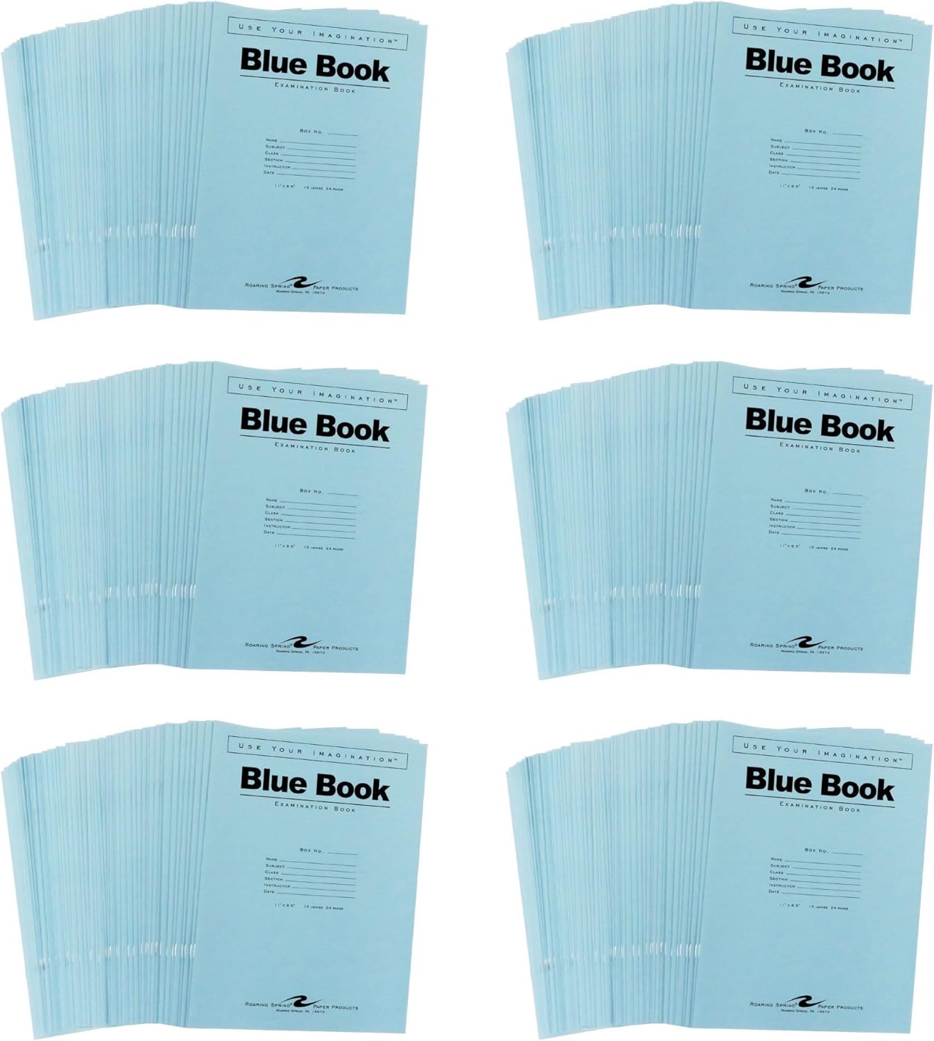ROARING SPRING Exam Blue Books, 300 Booklets, 11x8.5, 24 Pages
