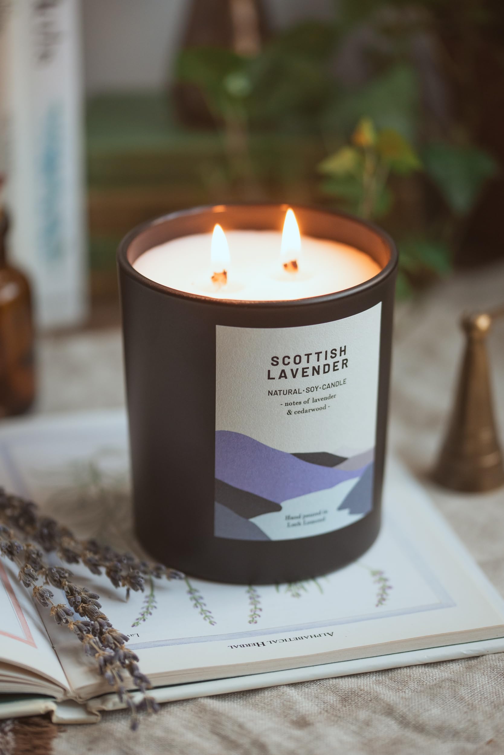 Ocoee House, Frosted/Black, Double Wick - 760g - Image 3