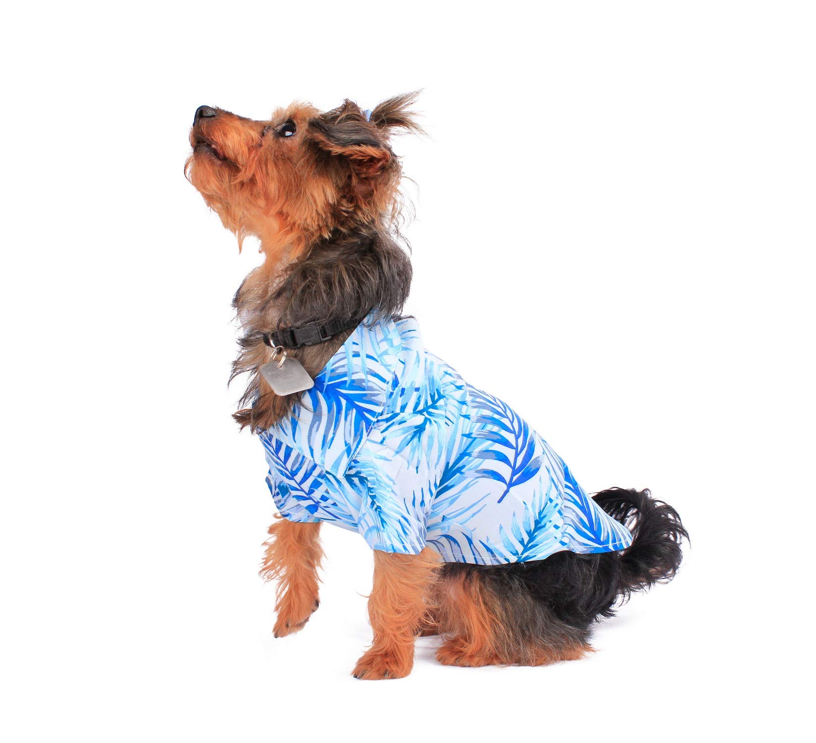Hawaiian Matching Pattern Dog Aloha Shirt in Simply Blue Leaves Size XLarge