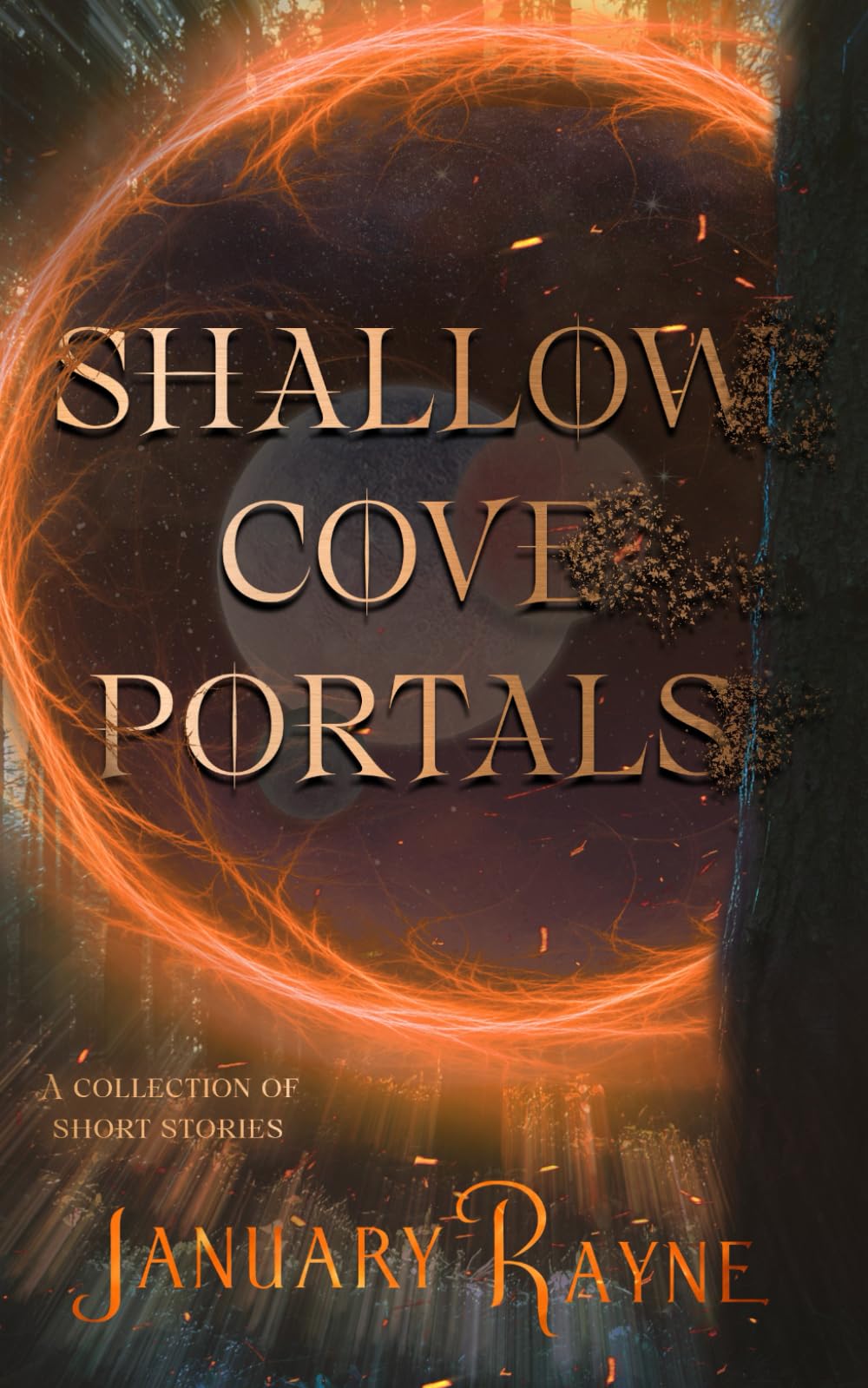 Shallow Cove Portals (A collection of short stories): Shallow Cove™ Dimensions