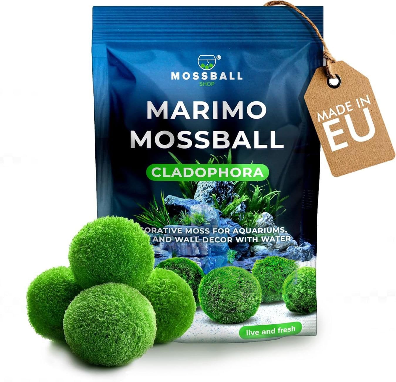 20 + 1 szt. kule mchu akwarium Cladophora aegagropila linneiae mech rośliny akwariowe rośliny wodne dekoracja rośliny prawdziwe marimo piłki mchu akwarium marimo moosball (1-3 cm)