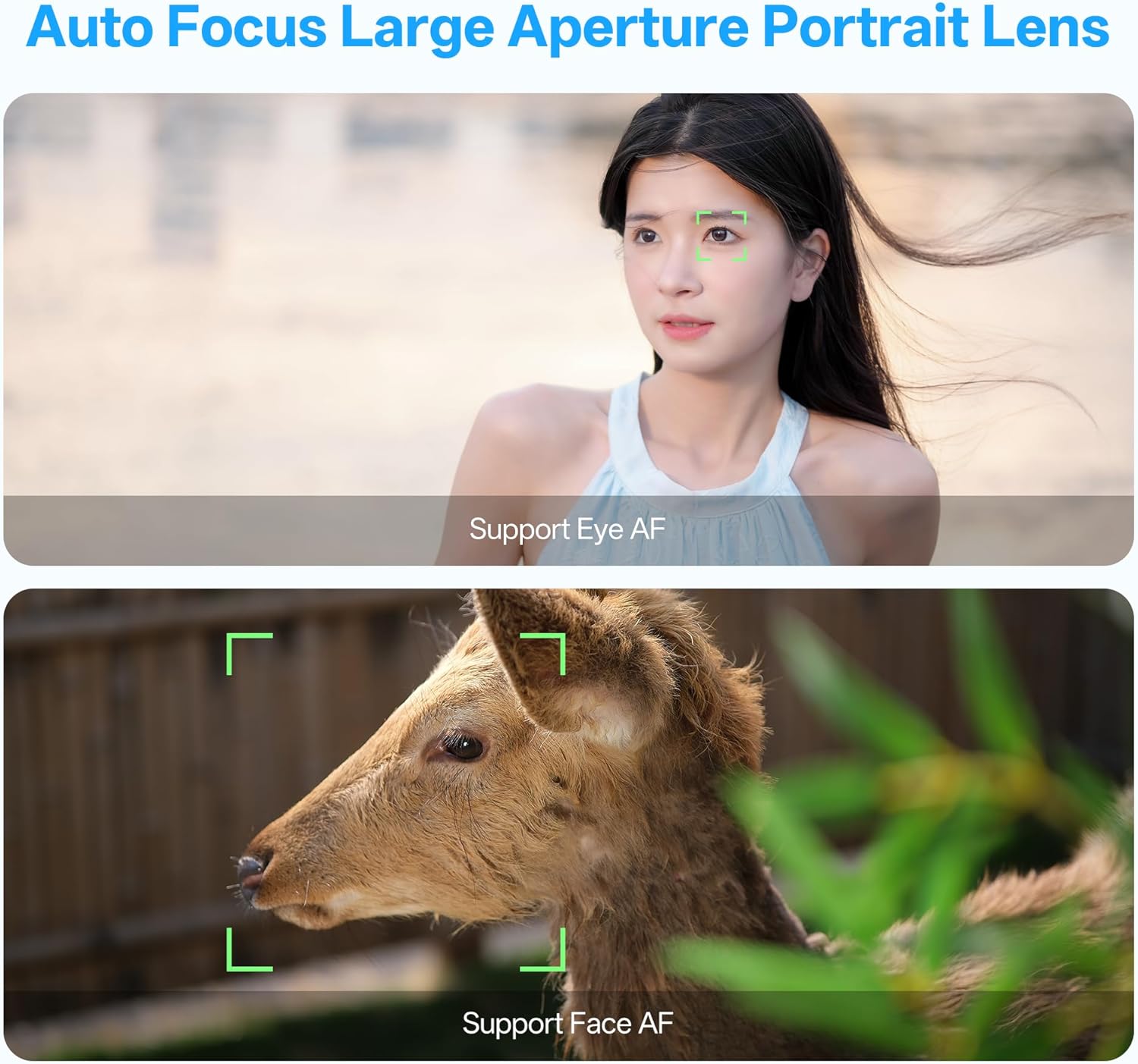 VILTROX AF 56mm F1.7 E Mount Lens for Sony, 56mm f/1.7 APS-C Auto Focus Prime Lens for Sony E Mount Mirrorless Cameras a6000 ZV-E10 a6600 a6400 a6700 a6300 a6100 a5000 a7iv a9 a7C a7S 4 71HEvunsZmL. AC SL1500