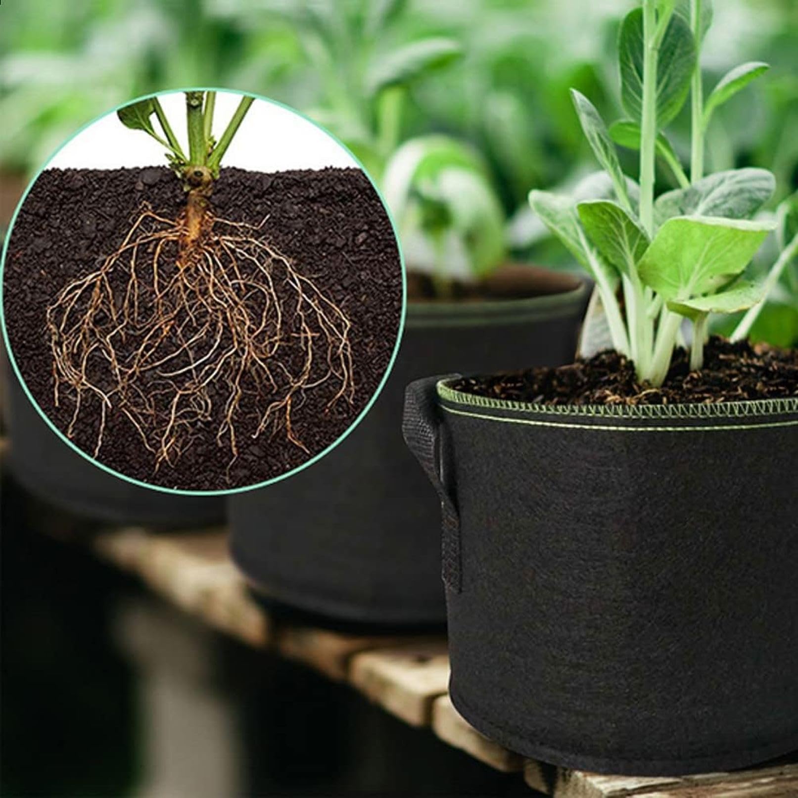 Amazon.co.jp: 不織布プランター不織布ポット 1-7ガロン 2枚入 植木鉢
