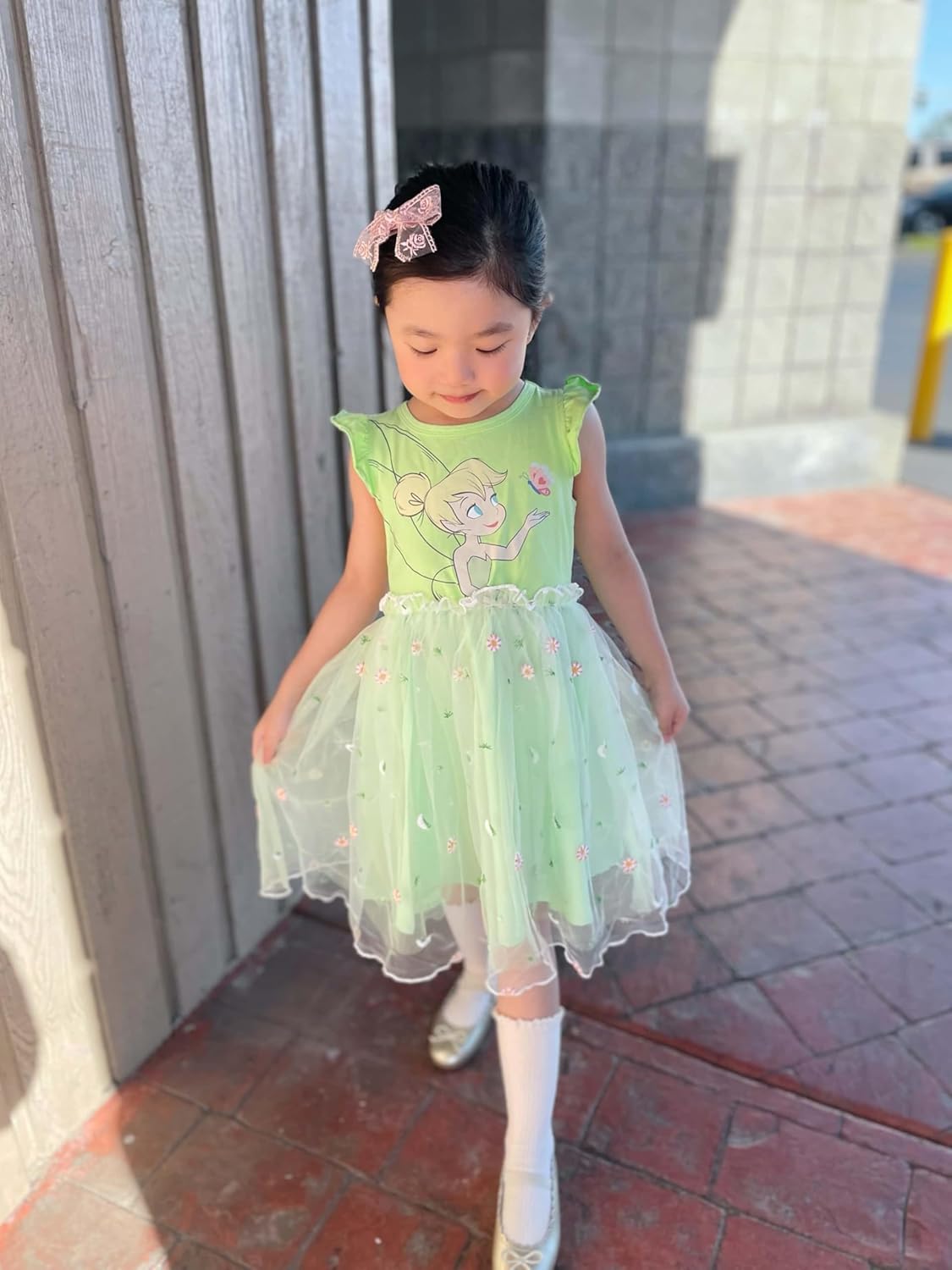 Disney Frozen Elsa Princess Cinderella Ariel Jasmine Rapunzel Baby/Toddler Dress, Ruffle Long-Sleeve Mesh Overlay Tulle Dress