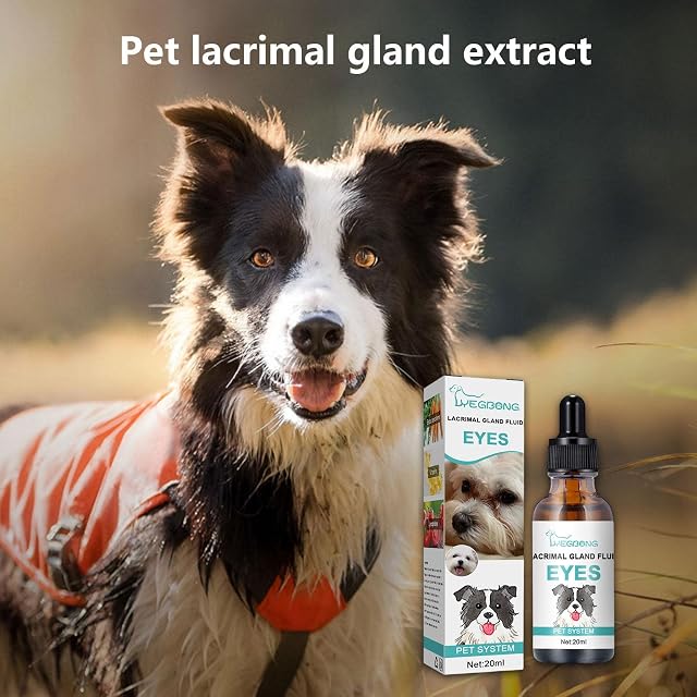 Foto 3 de 8 de 5 Solución para Mascotas - Gotas para Ojos Esenciales para Limpieza Mascotas para Perros y Gatos,Útil Pets…