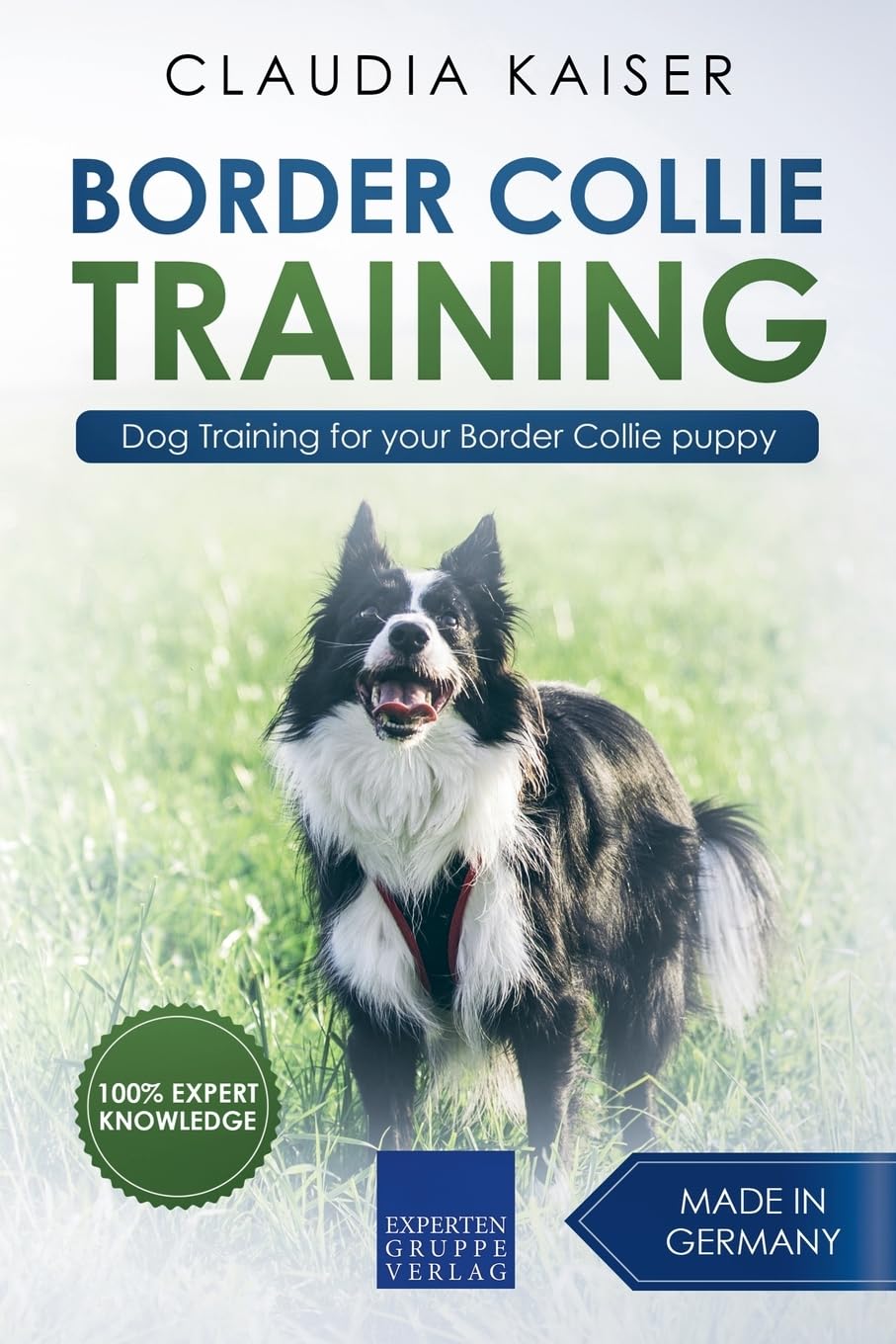 Border Collie Training - Dog Training for Your Border Collie Puppy: 1
