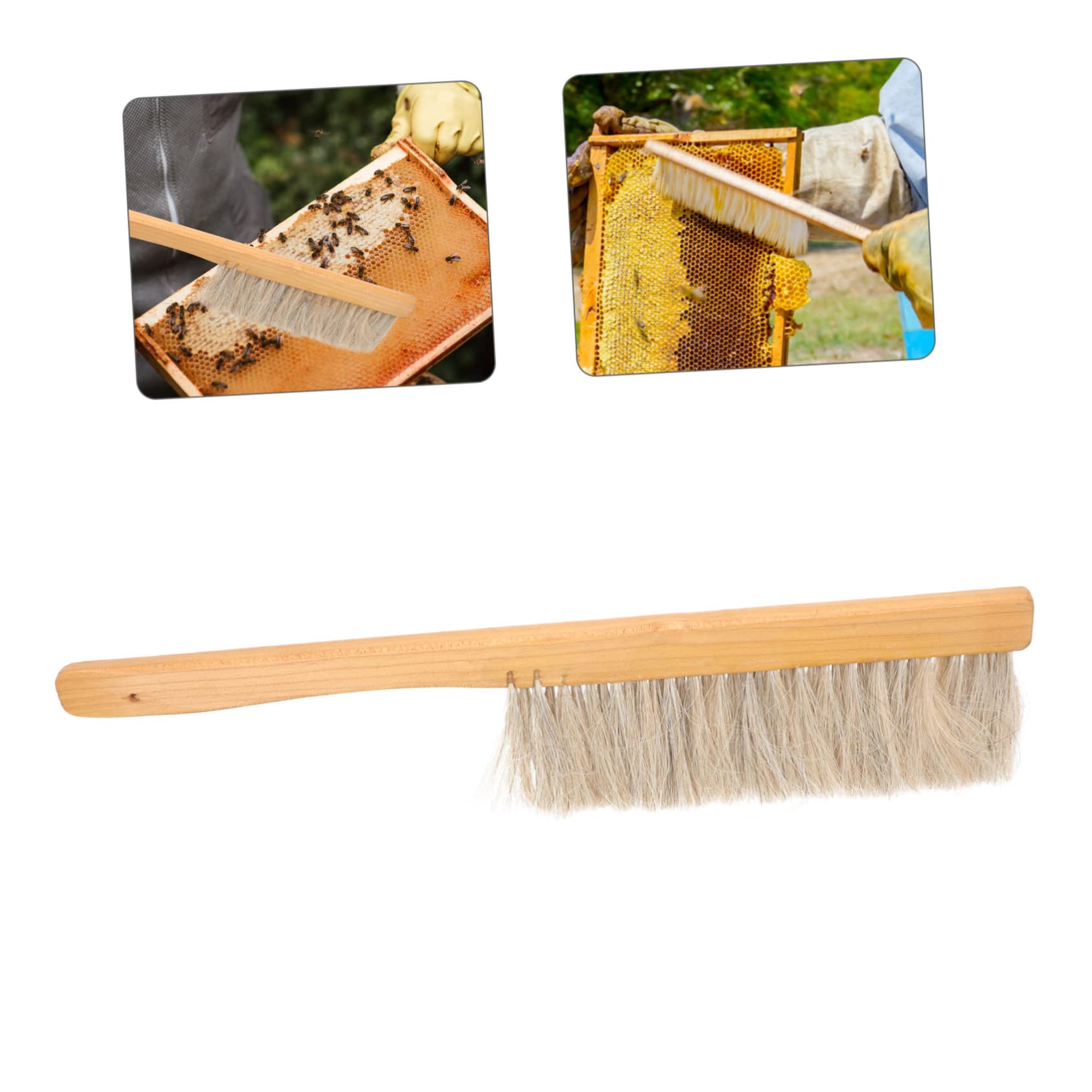 BESPORTBLE 3pezzi Per Apicoltura Setole Morbide e Strumento Portatile Per Apicoltori Utensile Per La e Abbigliamento Attrezzatura Resistente e
