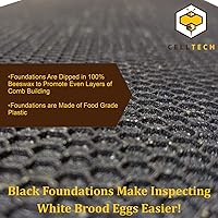 Vista 5 de Hoover Hives Caja de cría profunda recubierta de cera