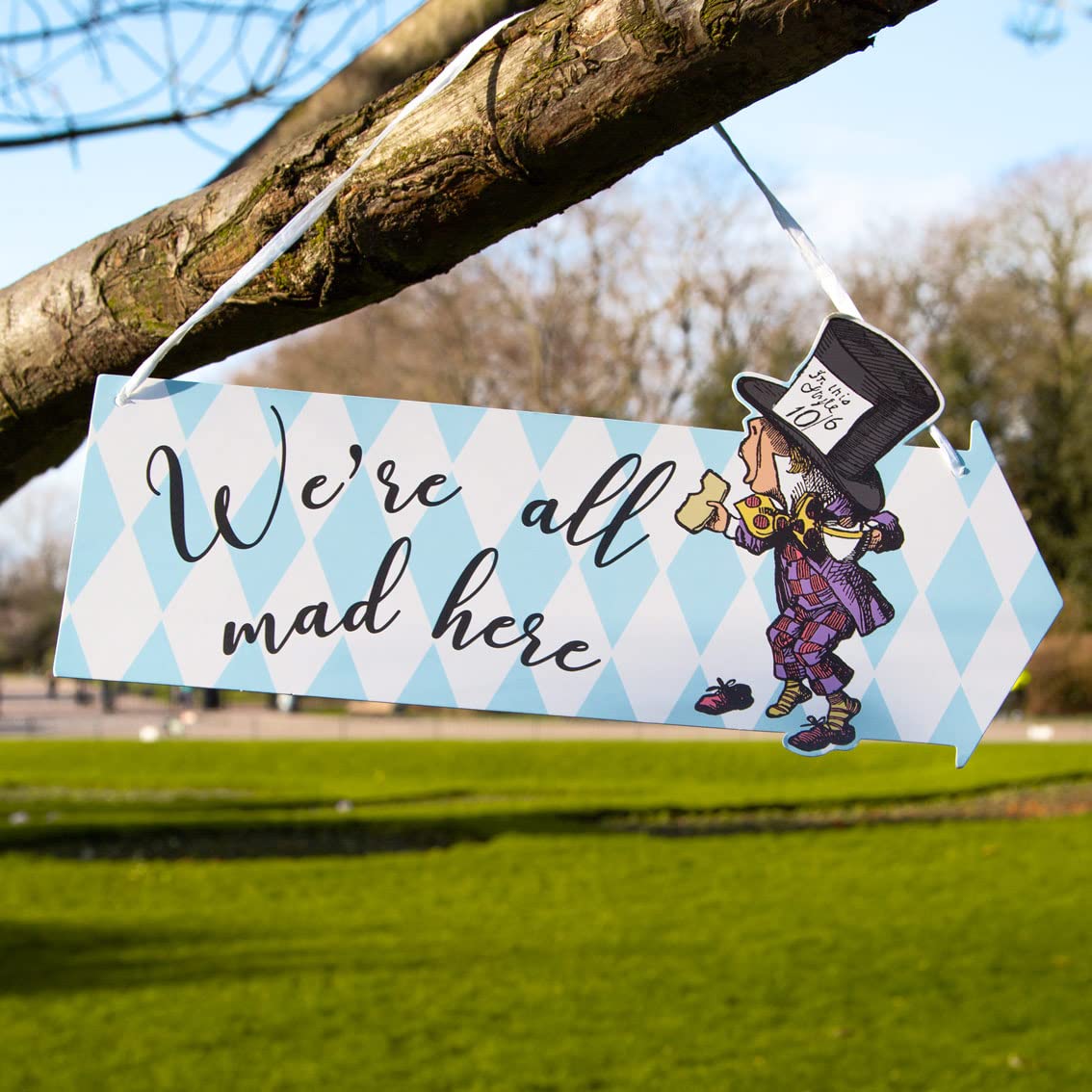 Buy Talking Tables Pack of 12 Alice in Wonderland Decorations | Arrow ...