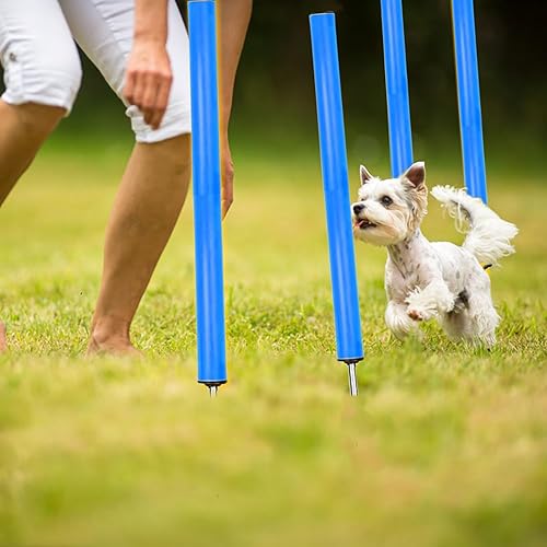 Miniatura 7 de Equipo de bastones de entrenamiento de agilidad, equipo de entrenamiento de fútbol, escalera de velocidad de 20 pies, 6 postes de agilidad, 8 conos