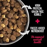 Nutrience Grain Free Subzero Large Breed Dog Food, Prairie Red, 10 kg