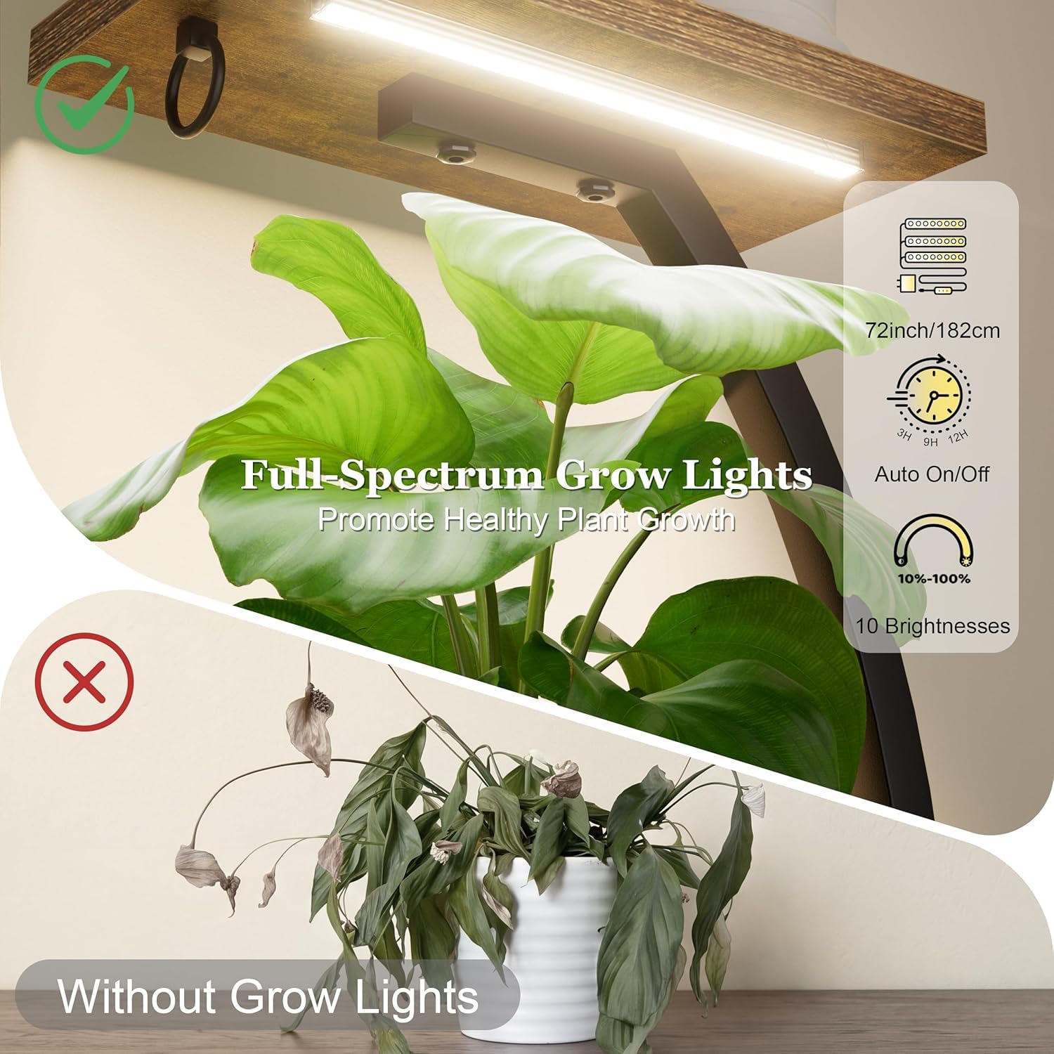 BACEKOLL Soporte para plantas de interior con luz de cultivo, 6 niveles y 160 cm de alto. Estante grande para exhibir plantas en sala de estar u otros espacios (2 juegos)