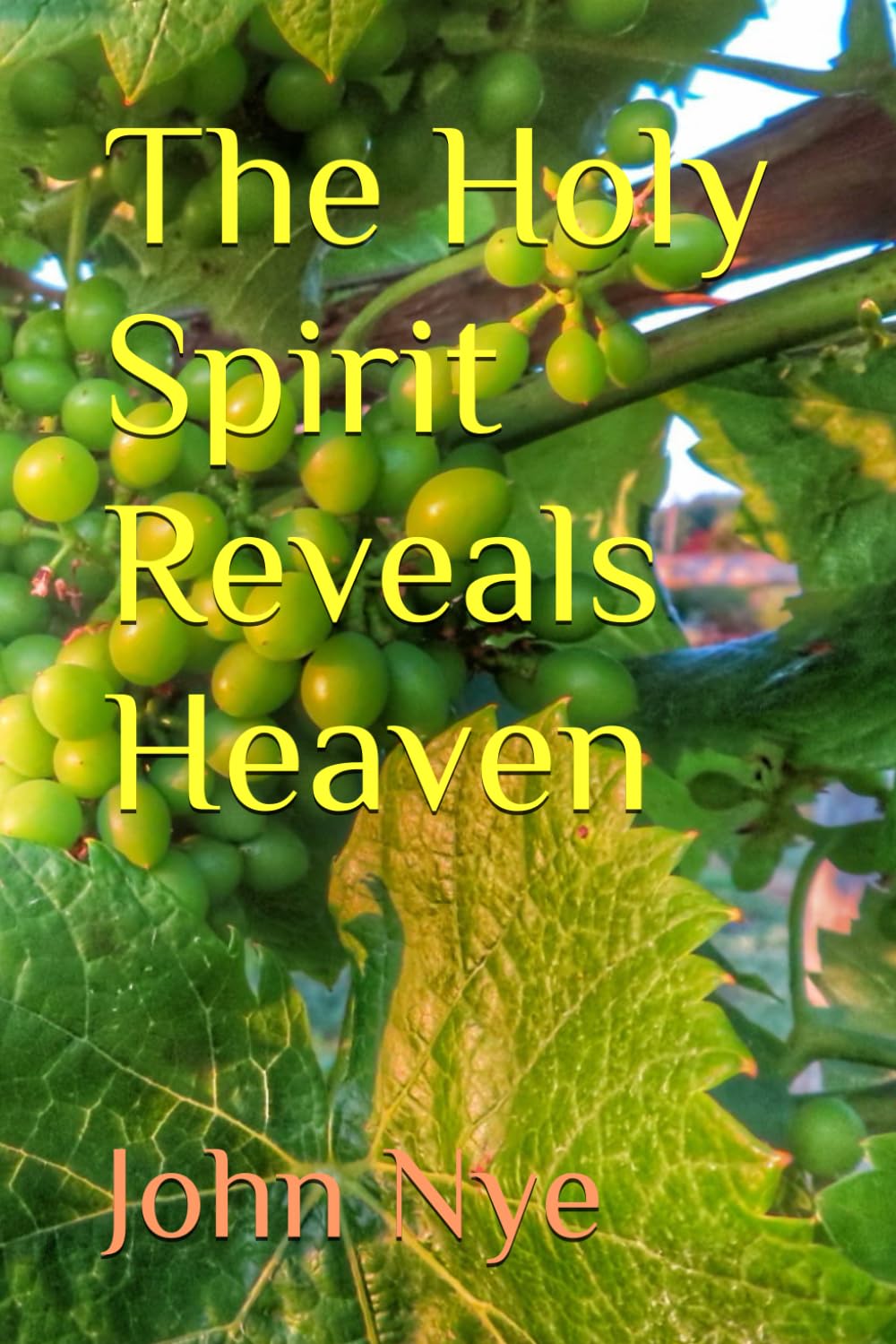 The Holy Spirit Reveals Heaven