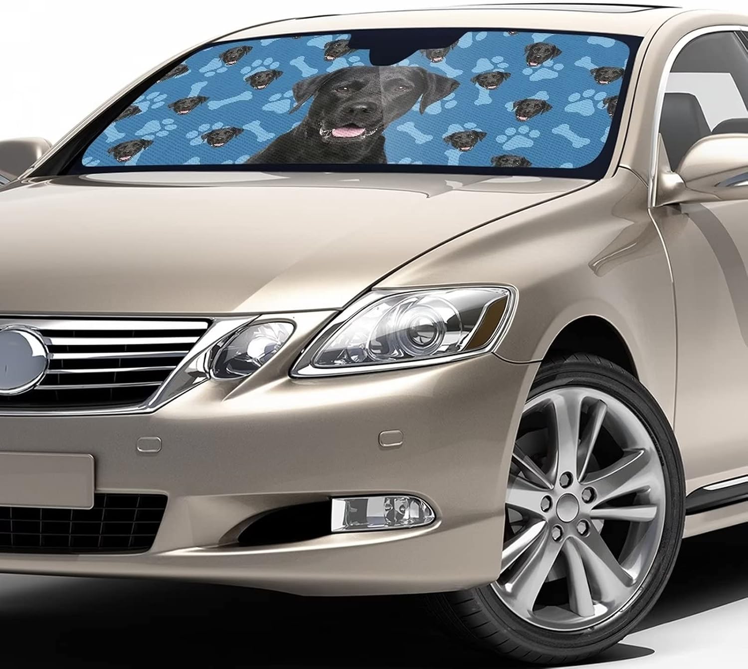 Labrador Dog Print Blue Windshield Sun Shade for Car Truck SUV Sedan Universal Fit Foldable Funny Auto Front Window Sunshade UV Rays Sun Visor Shield Cover