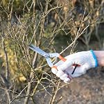 Sanung 902 Sécateurs de jardinage, ciseaux de jardin avec lames en acier inoxydable droites et verrou de sécurité, coupe-branches pour plantes, outil de taille de jardin pour la maison