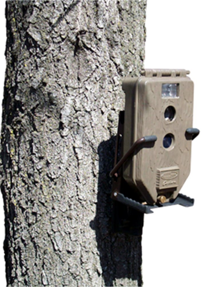 Stakeout 002312 Screw-It Tree Mount