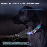 Ver la foto 5