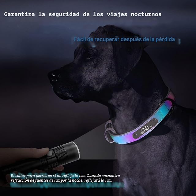 Foto 5 de 7 de TINGFAWU Collares de Perro Personalizados, Collar de Cuero Reflectante para Perro