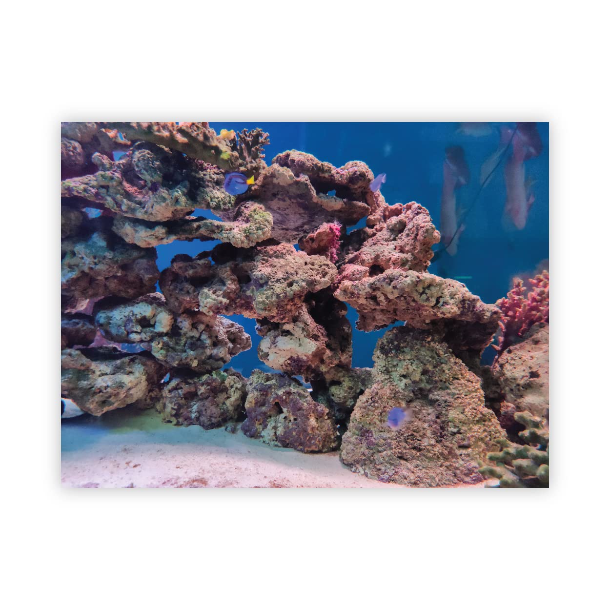 VVWV® Rocks Aquirium Background Stickers Fish Tank Waterproof Vinyl Printed Sticker Multicolored (61 X 41 CMS) (B0BW4C4L2X) Amazon Price History, Amazon Price Tracker