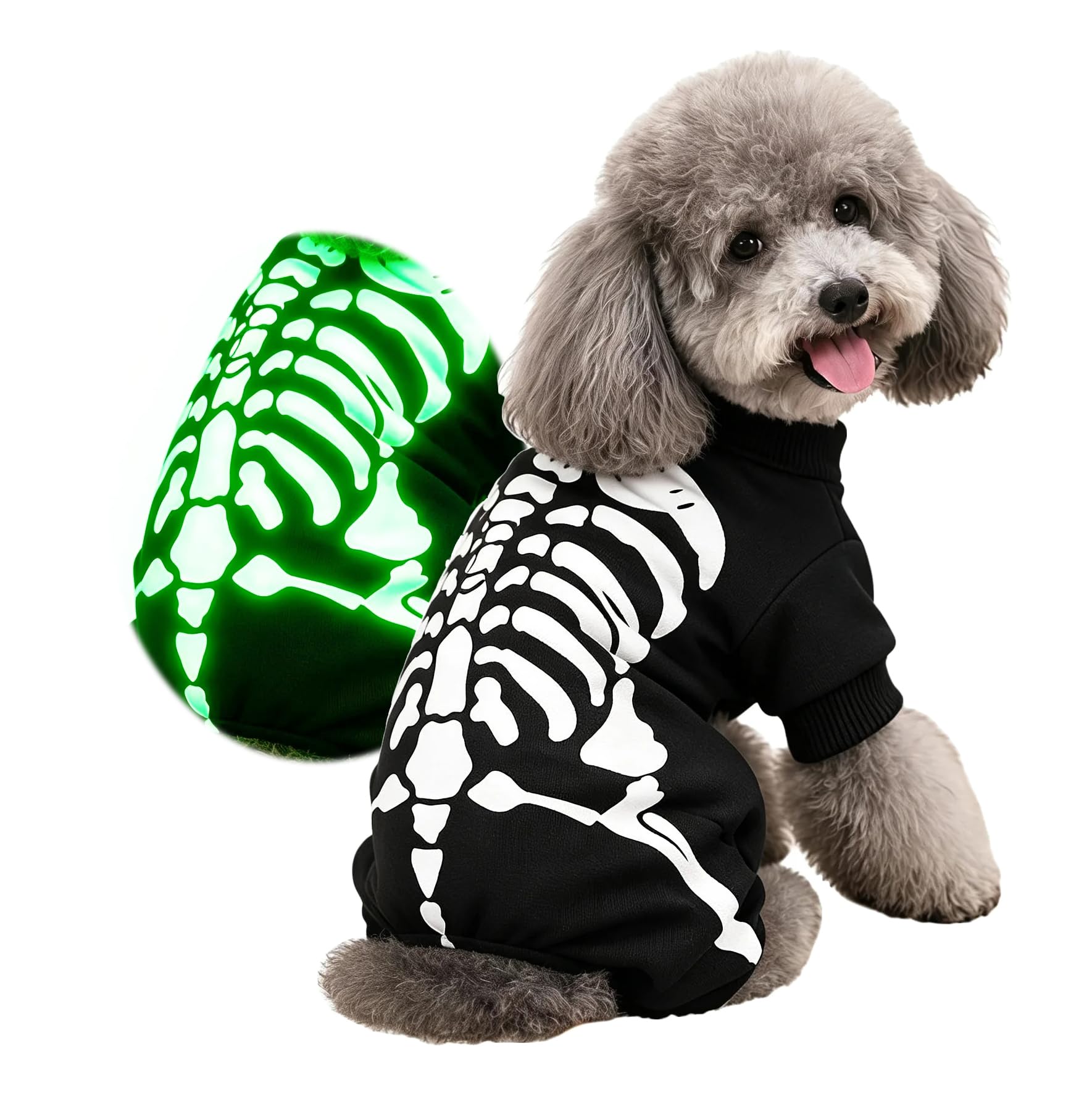 Maigllra Dog Skeleton Costume Glow in the Dark Pet Cat Halloween Jumpsuit 4 Legged Onesie for Puppy Small Dog Cat, S