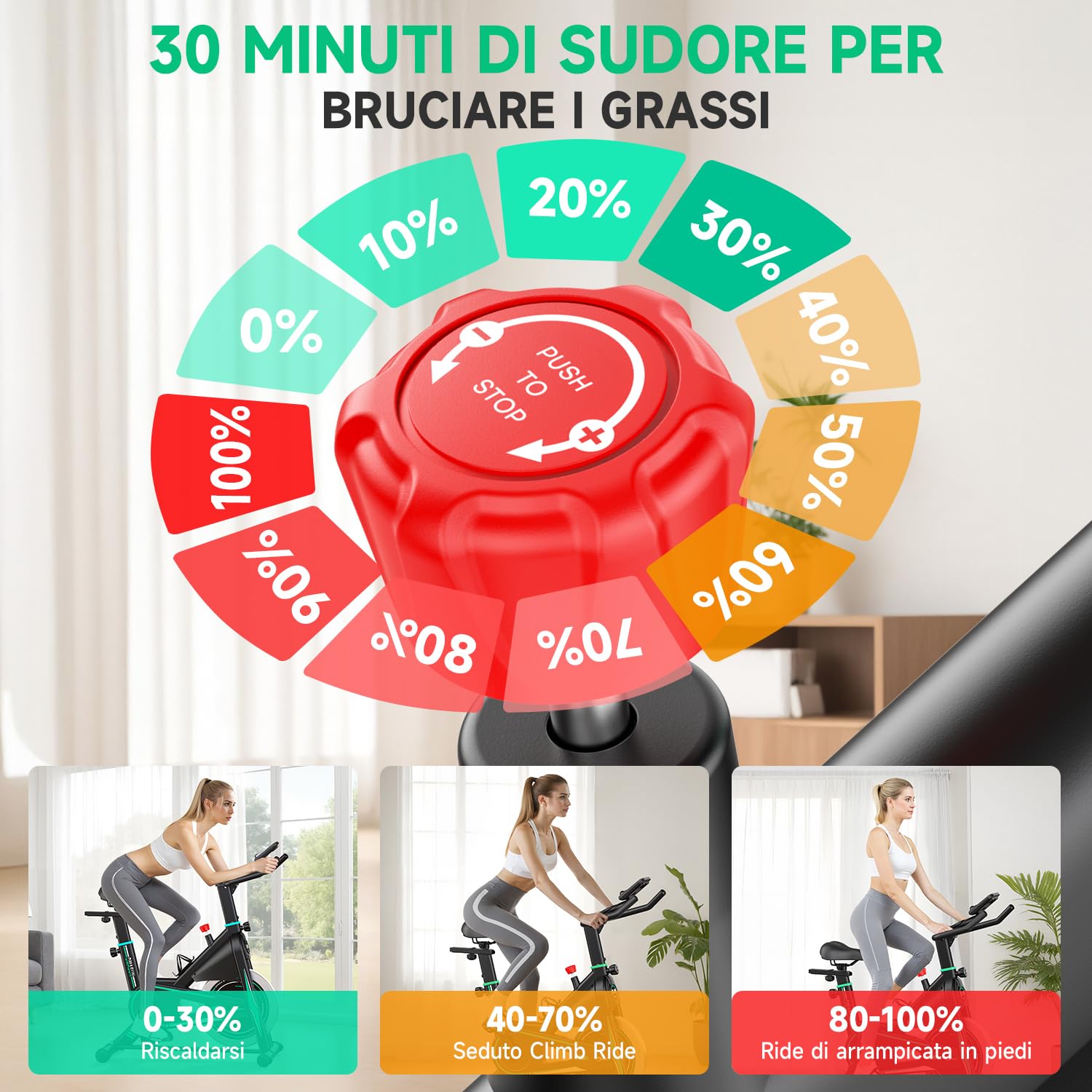 DMASUN Cyclette con resistenza magnetica, cyclette per interni, con comodo cuscino per sedile, display digitale con impulso