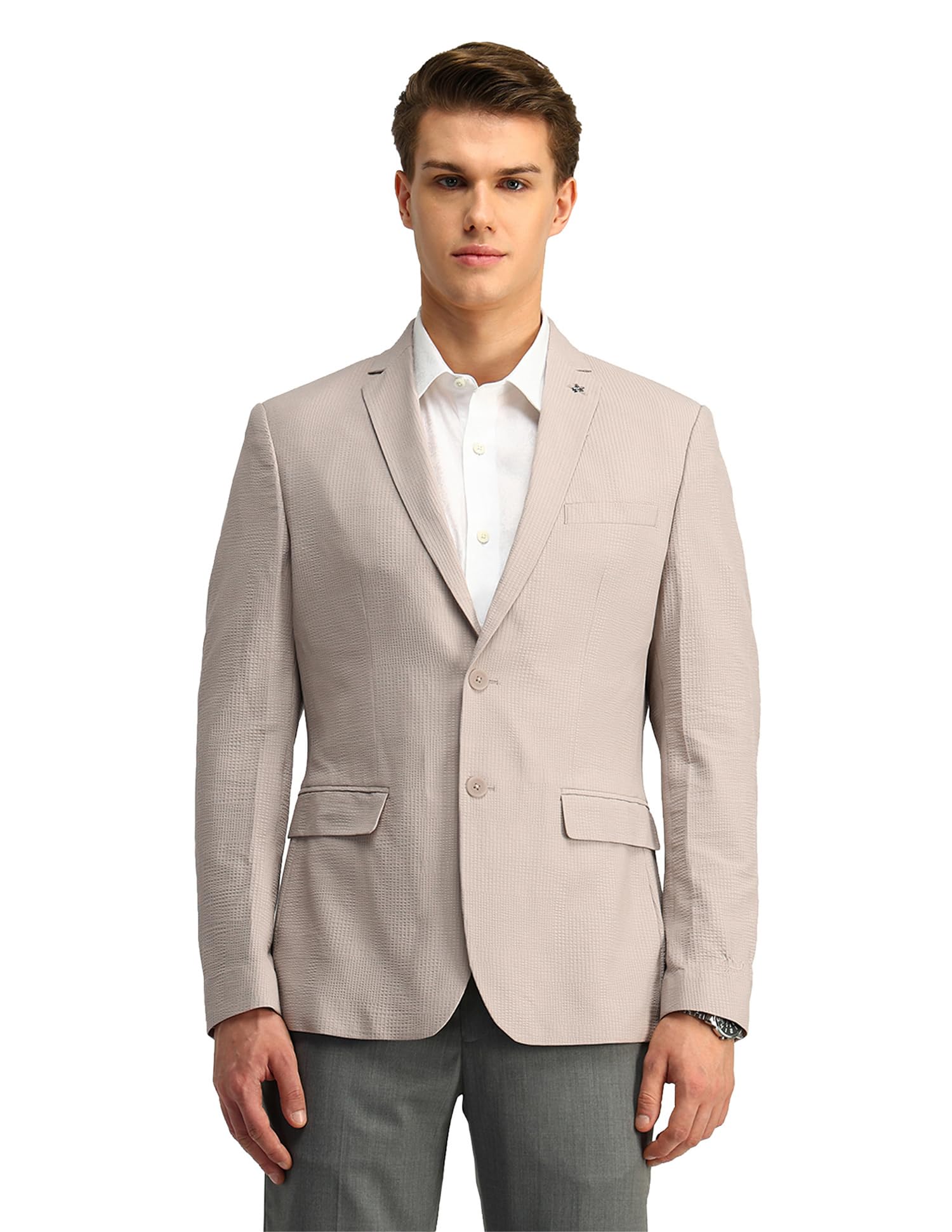 arrow Mens Beige Textured Nylon Notch Collar Long Sleeve Formal Slim Blazer (ARAIBZ5053_Beige_36)-picture-13
