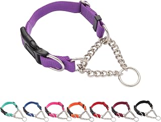 Purple large martingale collar with chain